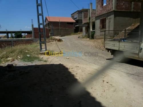 Vente Terrain Ain defla Miliana 2