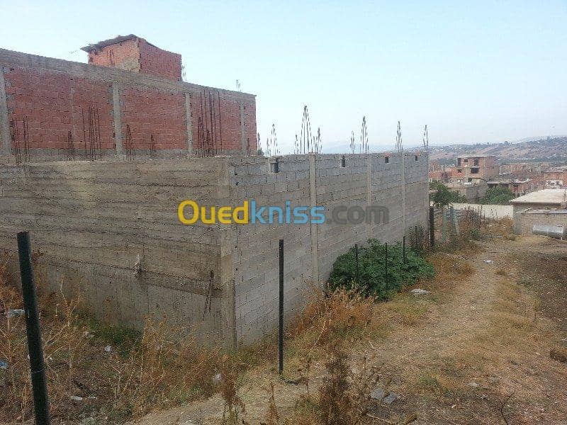Vente Carcasse Skikda Salah bouchaour 10
