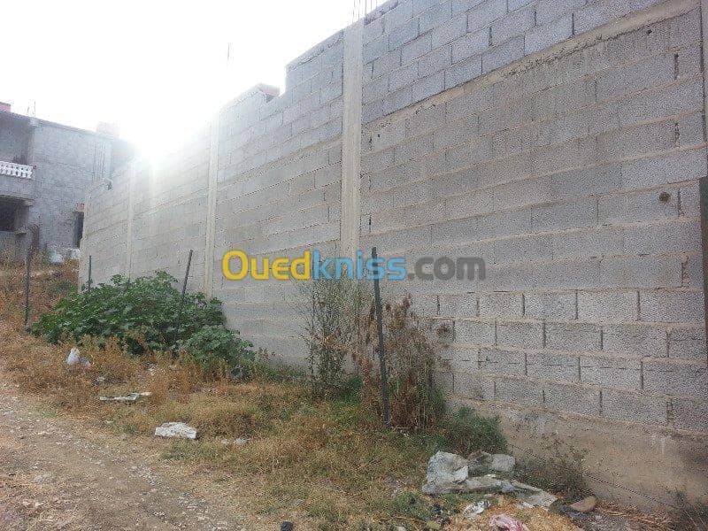 Vente Carcasse Skikda Salah bouchaour 6