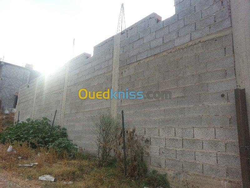 Vente Carcasse Skikda Salah bouchaour 7