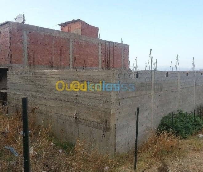Vente Carcasse Skikda Salah bouchaour 8