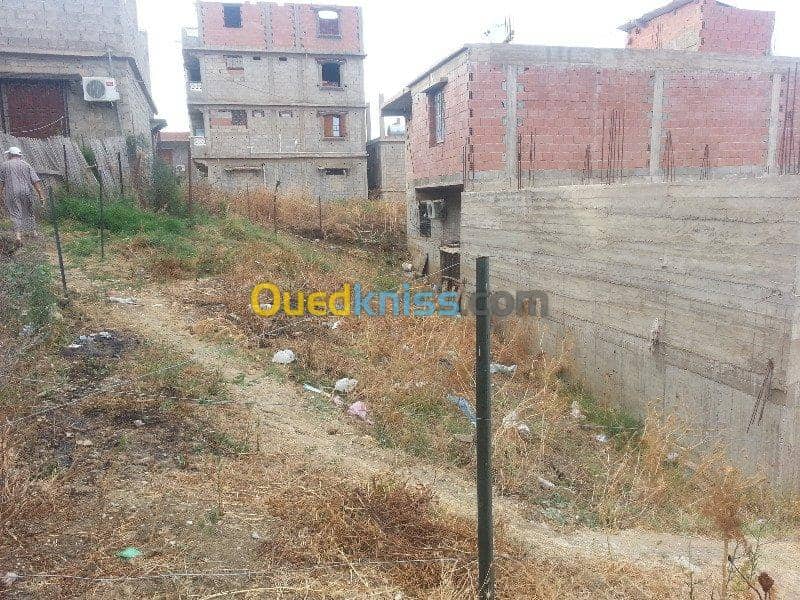 Vente Carcasse Skikda Salah bouchaour 9