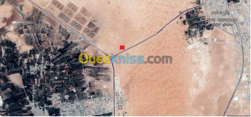 Vente Terrain Ouargla Ain beida 4