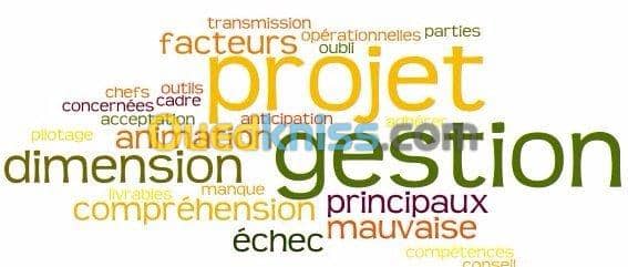 Directeur de projet  2