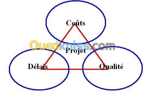 Directeur de projet  3