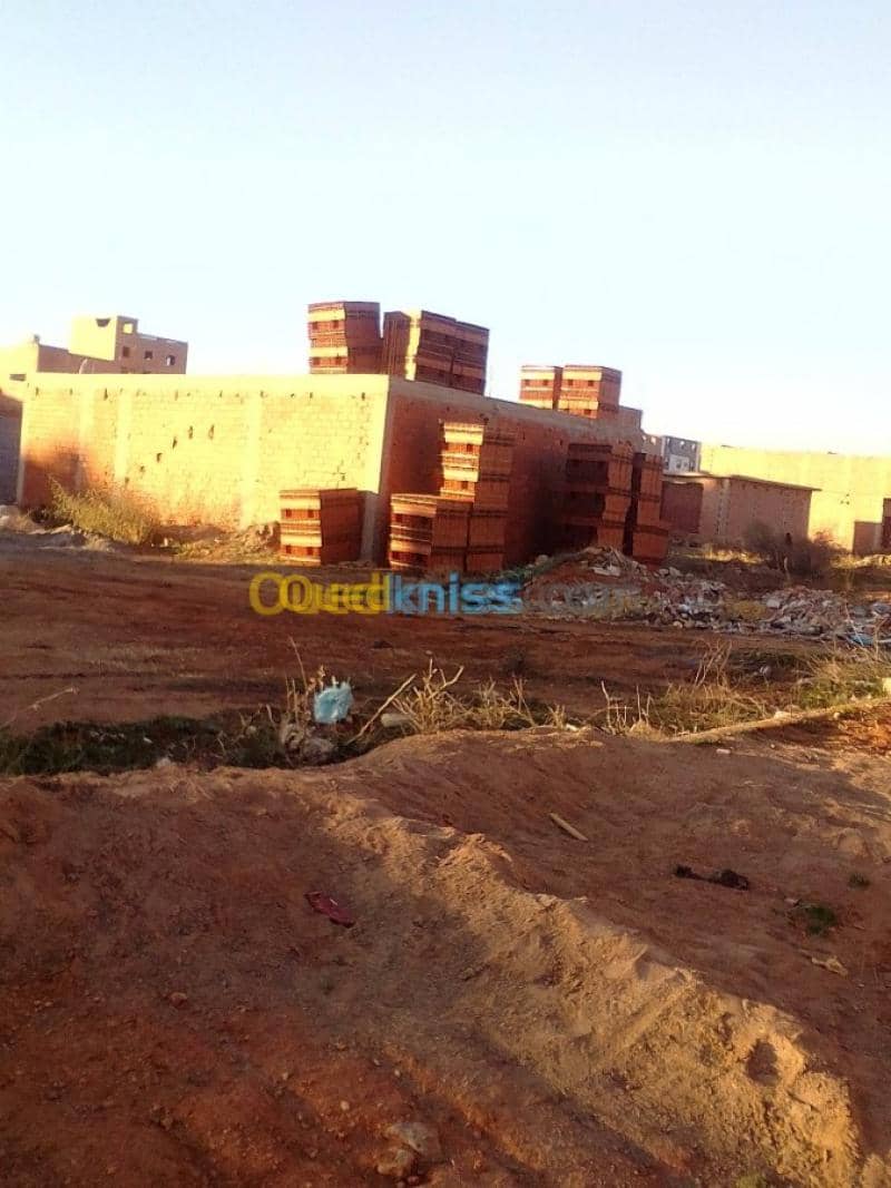 Vente Terrain Tlemcen Maghnia