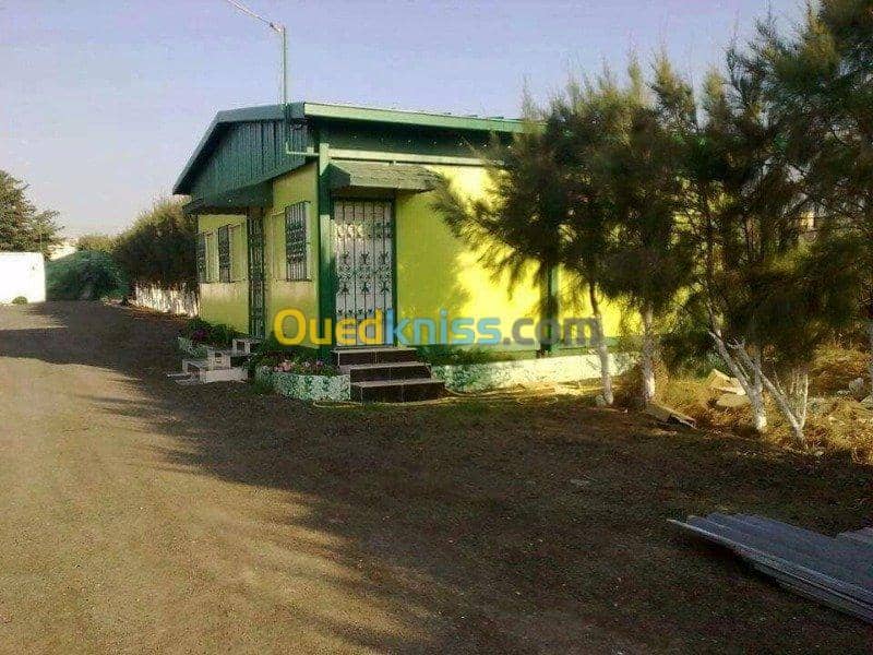 Vente Bungalow Chlef Chettia 6