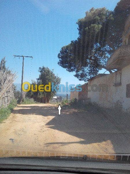 Vente Terrain Ouled Djellal Chaiba 10