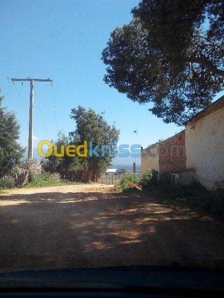 Vente Terrain Ouled Djellal Chaiba 11