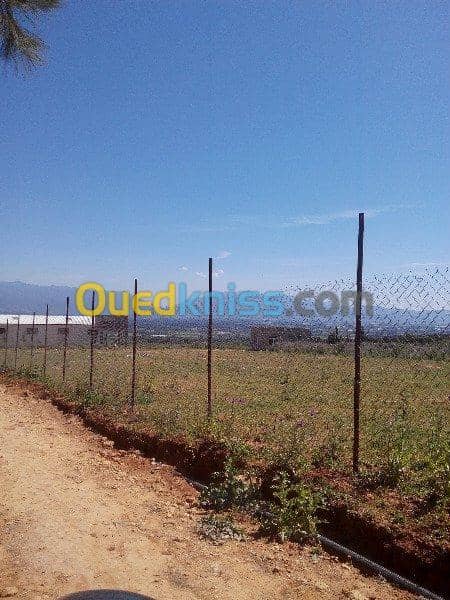 Vente Terrain Ouled Djellal Chaiba 13