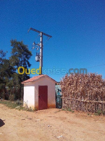 Vente Terrain Ouled Djellal Chaiba 14