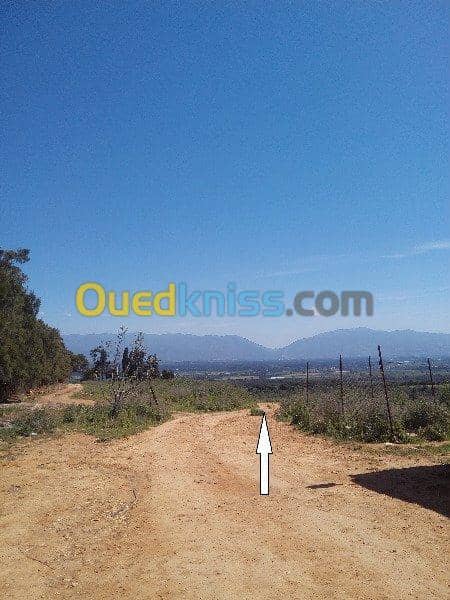 Vente Terrain Ouled Djellal Chaiba 15