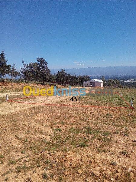 Vente Terrain Ouled Djellal Chaiba 18