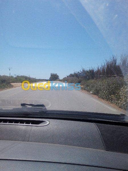 Vente Terrain Ouled Djellal Chaiba 2