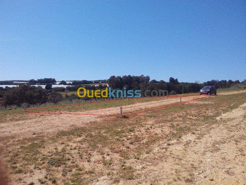 Vente Terrain Ouled Djellal Chaiba 20
