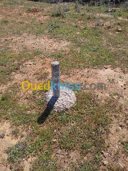 Vente Terrain Ouled Djellal Chaiba 23