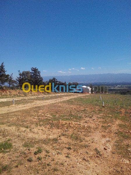 Vente Terrain Ouled Djellal Chaiba 25