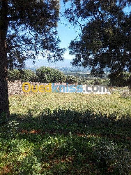 Vente Terrain Ouled Djellal Chaiba 27