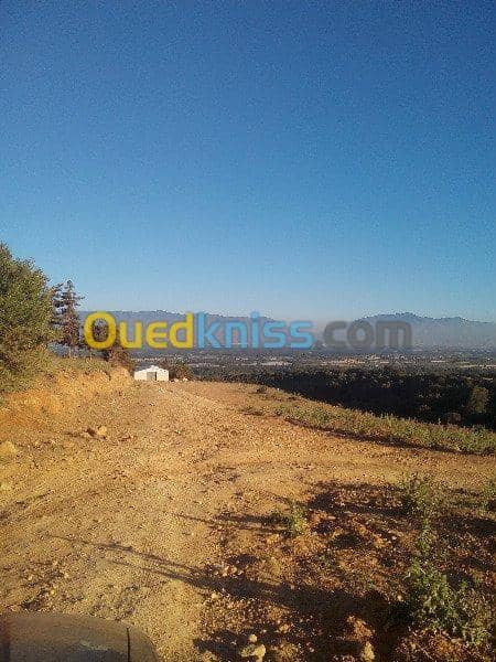 Vente Terrain Ouled Djellal Chaiba 32