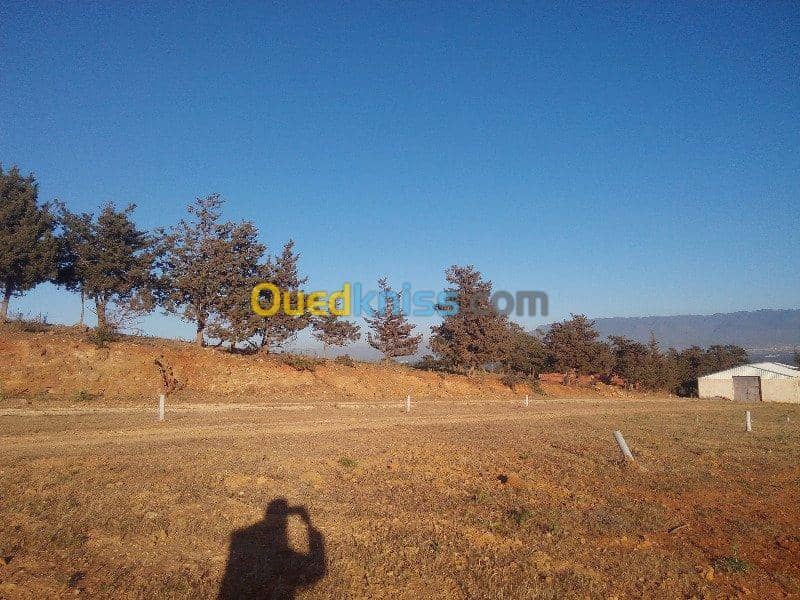 Vente Terrain Ouled Djellal Chaiba 34