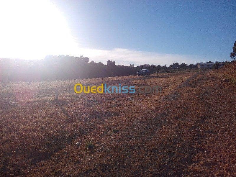 Vente Terrain Ouled Djellal Chaiba 35