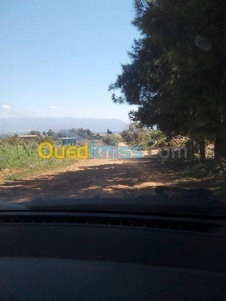Vente Terrain Ouled Djellal Chaiba 4