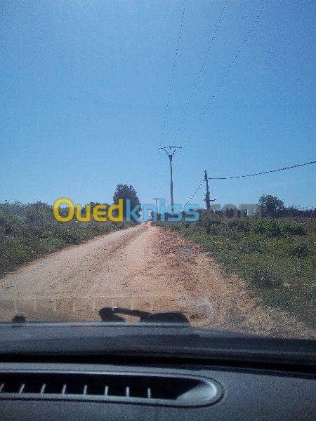 Vente Terrain Ouled Djellal Chaiba 7