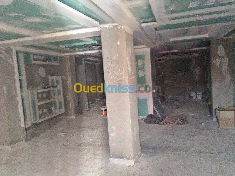 Vente Immeuble Alger El mouradia 11