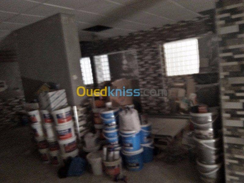 Vente Immeuble Alger El mouradia 28