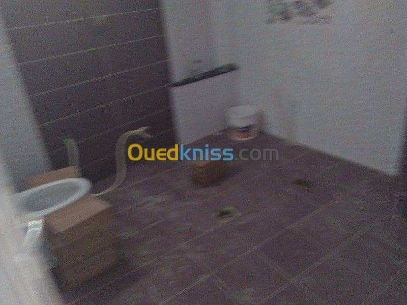 Vente Immeuble Alger El mouradia 38