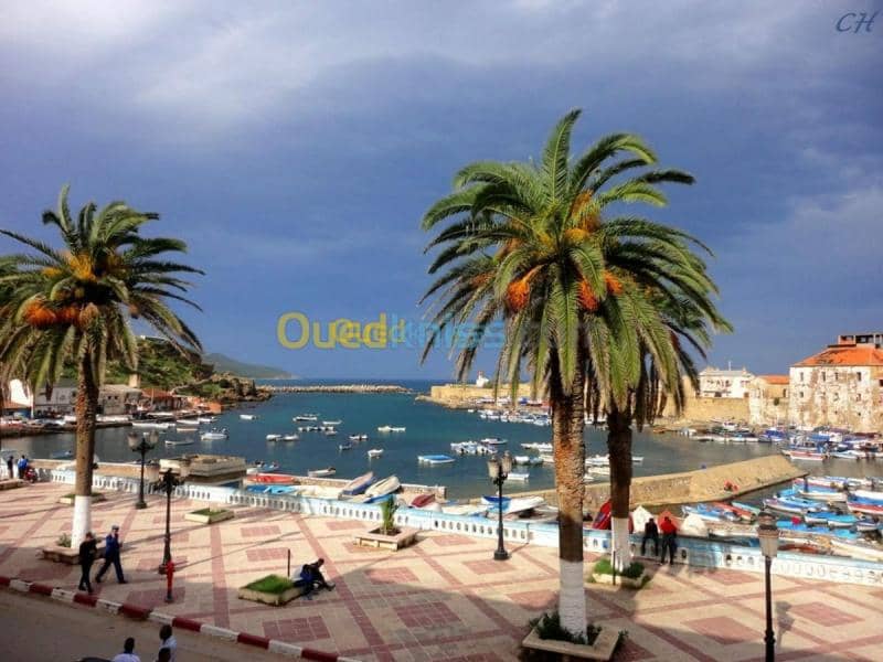 Location vacances Villa El taref El kala 45