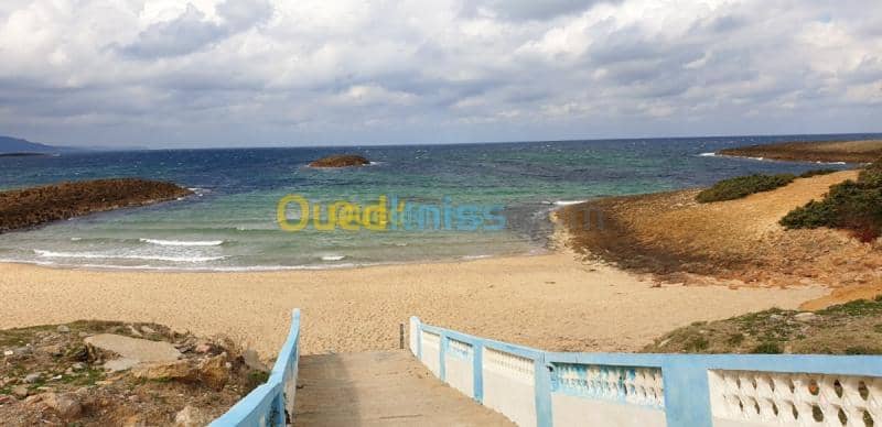Location vacances Villa El taref El kala 46