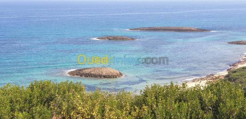 Location vacances Villa El taref El kala 47