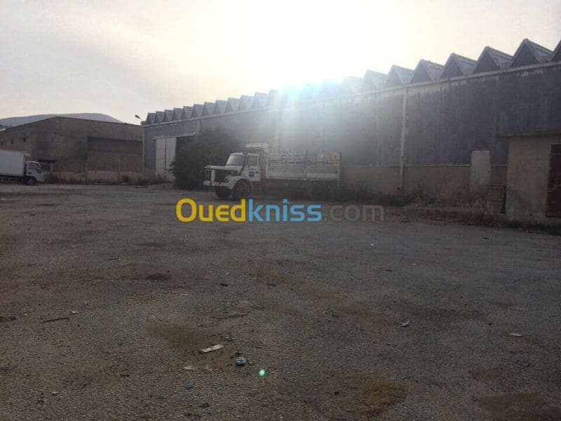 Location Hangar Khenchela Khenchela 2