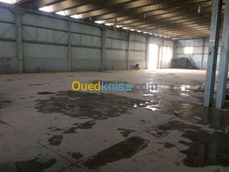Location Hangar Khenchela Khenchela 3