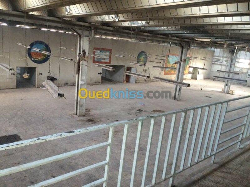 Location Hangar Khenchela Khenchela 4