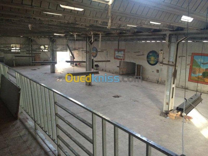 Location Hangar Khenchela Khenchela 5