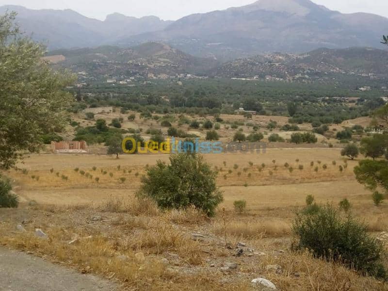 Vente Terrain Bouira Ahnif 4