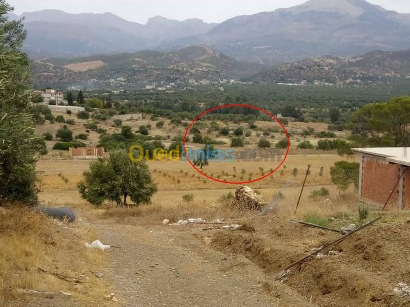 Vente Terrain Bouira Ahnif 5