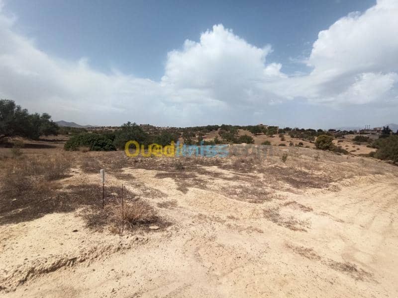 Vente Terrain Bouira Ahnif 6