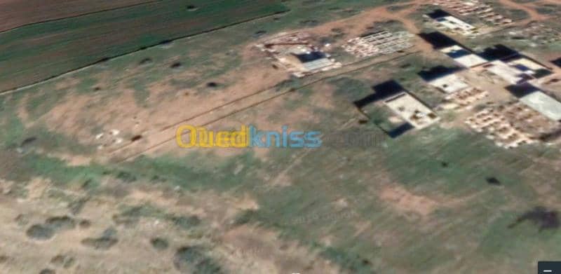 Vente Terrain Chlef Chlef 2