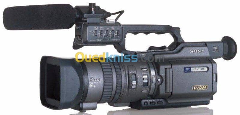 Vente de deux camescopes DV 2