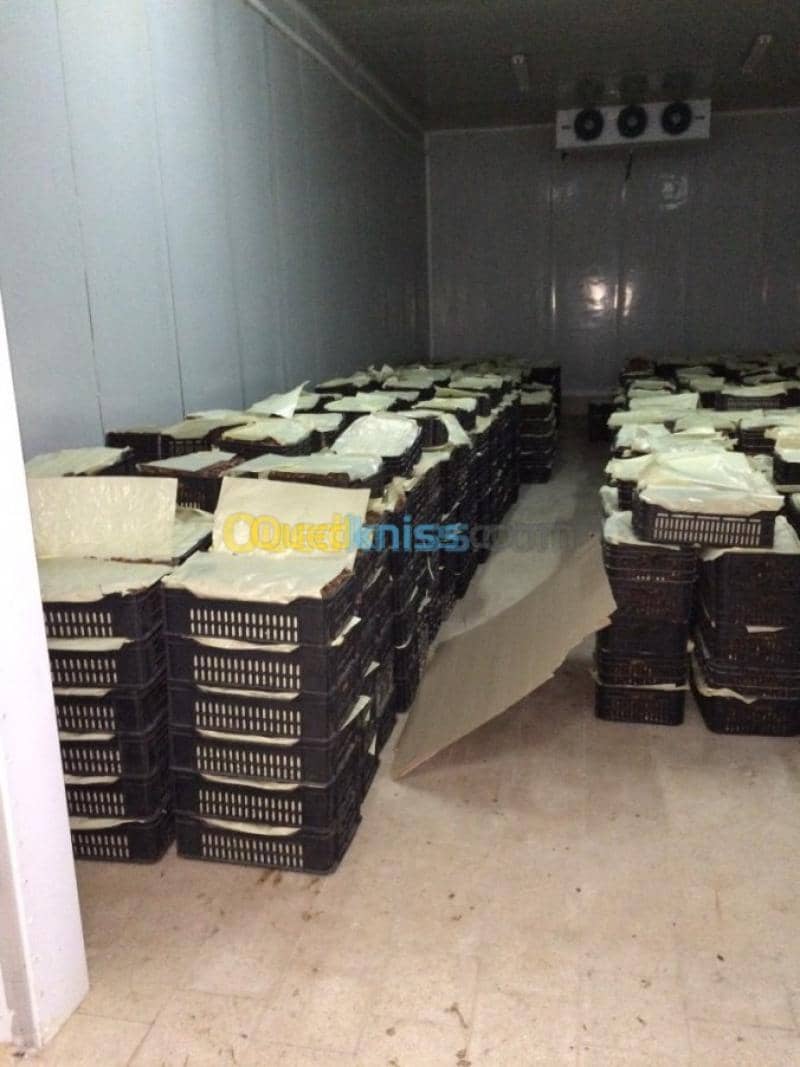 Vente Villa Biskra Biskra 2
