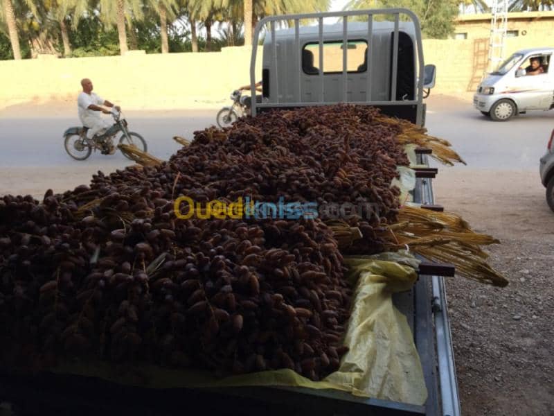 Vente Villa Biskra Biskra 23