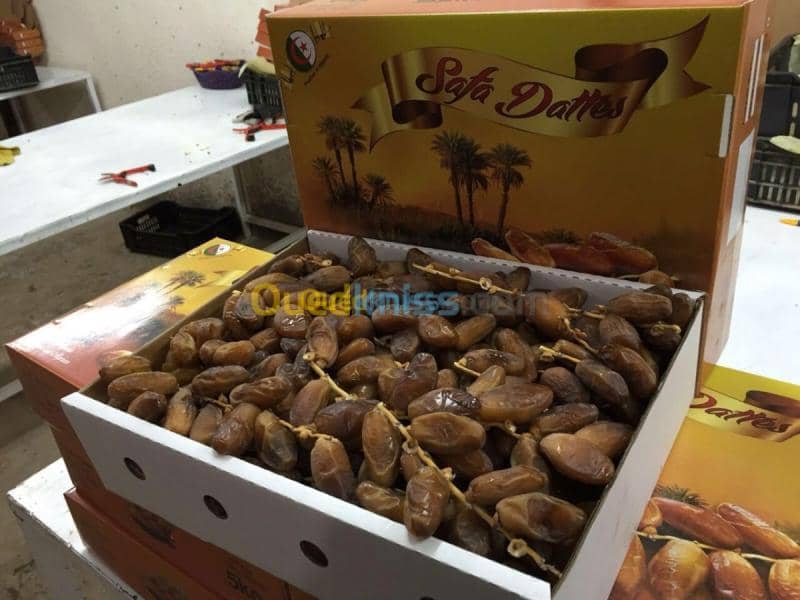 Vente Villa Biskra Biskra 26