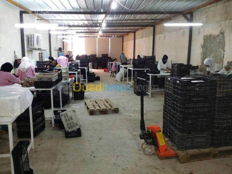 Vente Villa Biskra Biskra 27