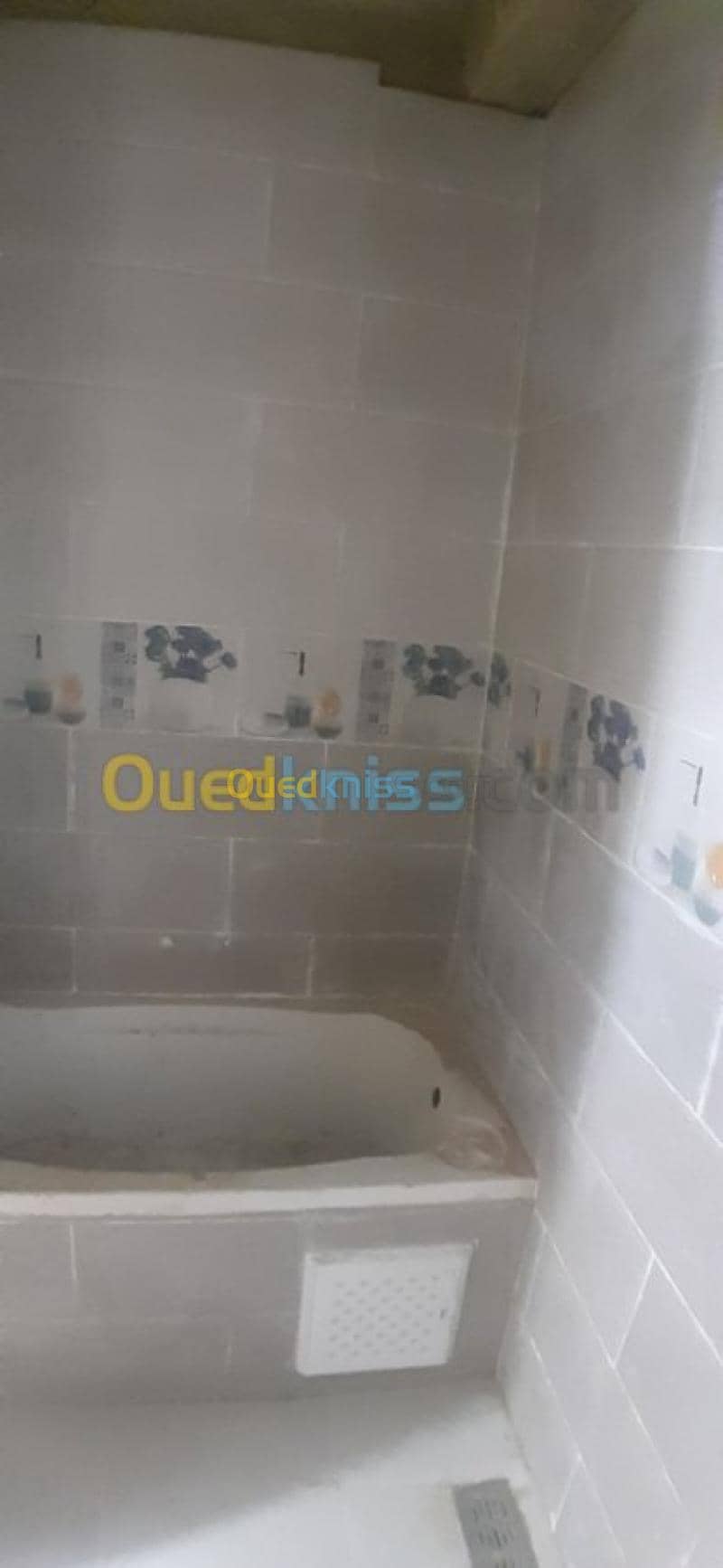 Vente Immeuble Chlef Tenes 17