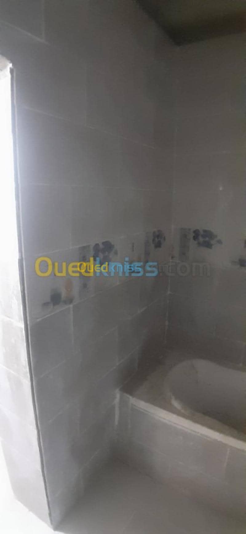Vente Immeuble Chlef Tenes 18