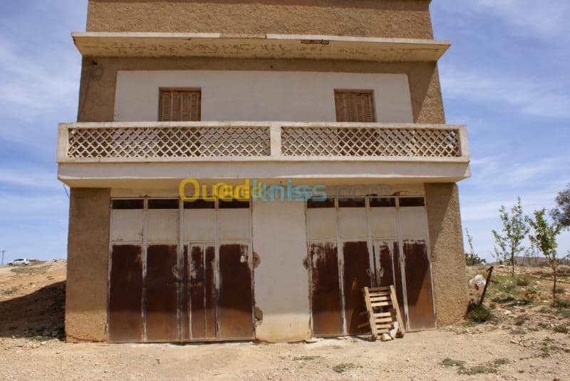 Vente Terrain Agricole Tebessa Bekkaria 19