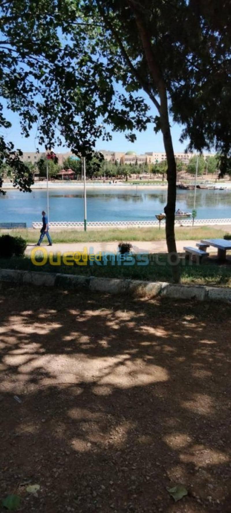 Location vacances Appartement F2 Tlemcen Mansourah 17